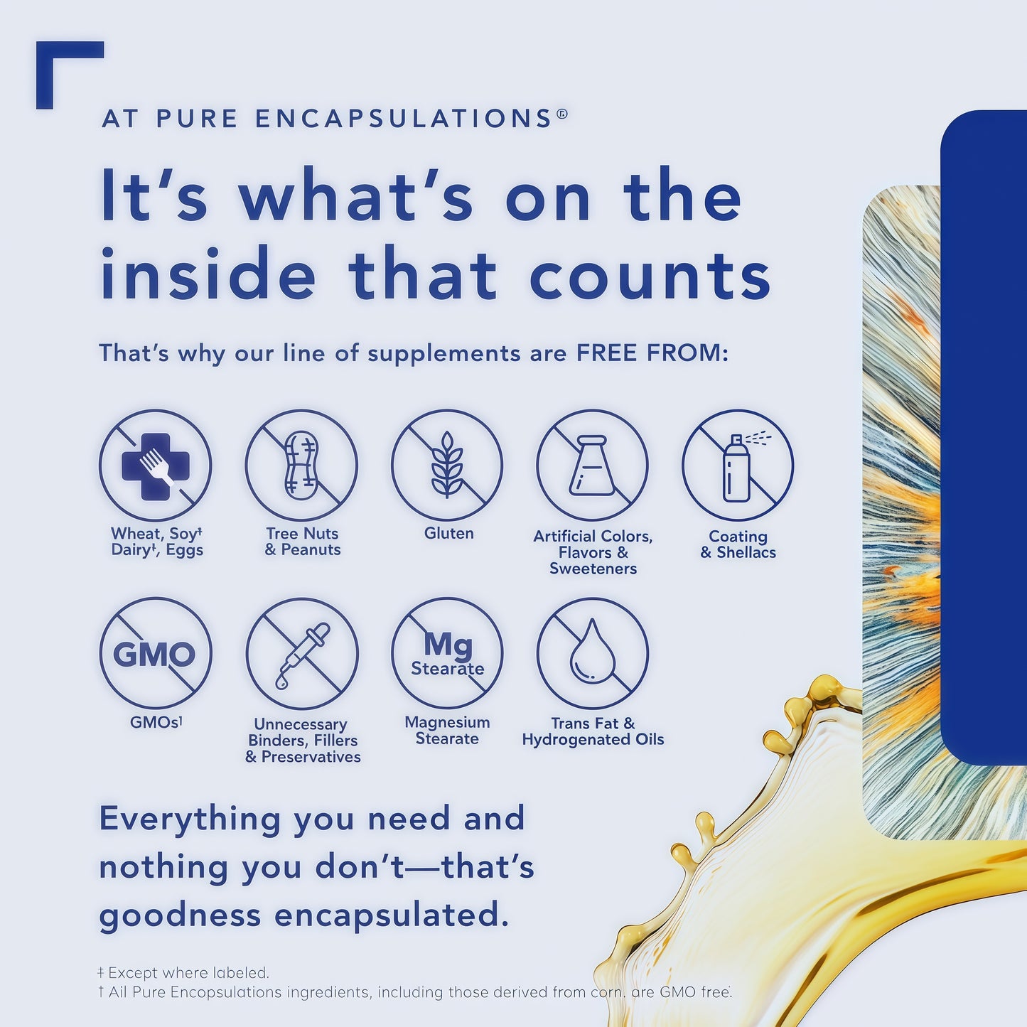 Pure Encapsulations O.N.E. Multivitamin - Once Daily Multivitamin with Antioxidant Complex Metafolin, CoQ10, and Lutein to Support Vision, Cognitive Function, and Cellular Health* - 90 Capsules
